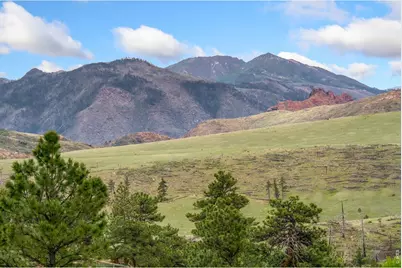 171 Critter Ct, Livermore, CO 80536 - Photo 34