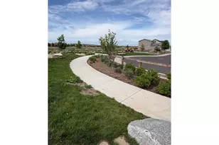 1526 Reynolds Dr, Windsor, CO 80550 - Photo 48