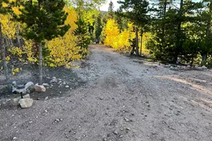 44 Natchez Cir, Red Feather Lakes, CO 80545 - Photo 18