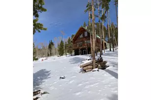 2227 Osage Trail, Red Feather Lakes, CO 80545 - Photo 4