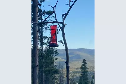 2227 Osage Trl, Red Feather Lakes, CO 80545 - Photo 6