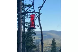 2227 Osage Trail, Red Feather Lakes, CO 80545 - Photo 6