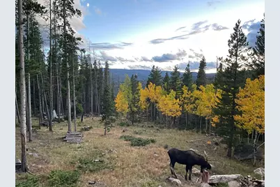 2227 Osage Trl, Red Feather Lakes, CO 80545 - Photo 10