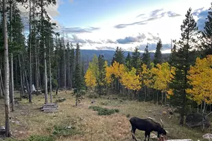 2227 Osage Trail, Red Feather Lakes, CO 80545 - Photo 10