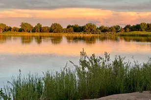 1503 Waterfront Dr, Windsor, CO 80550 - Photo 44