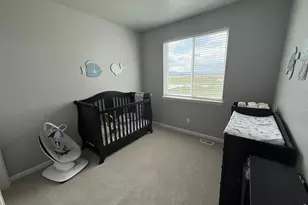 709 Hillspire Dr, Windsor, CO 80550 - Photo 24