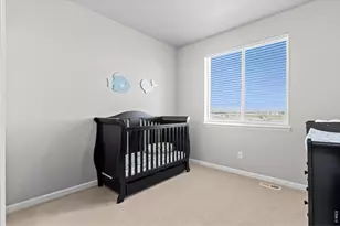 709 Hillspire Dr, Windsor, CO 80550 - Photo 22