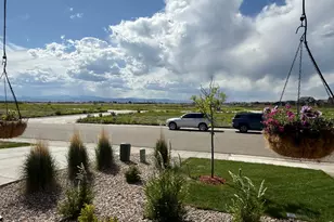 709 Hillspire Dr, Windsor, CO 80550 - Photo 2