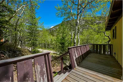 702 Bryan Ave, Nederland, CO 80466 - Photo 16
