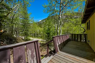 702 Bryan Ave, Nederland, CO 80466 - Photo 16
