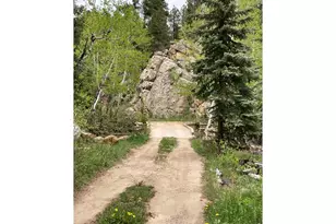 1064 Cold Springs Rd, Nederland, CO 80466 - Photo 42