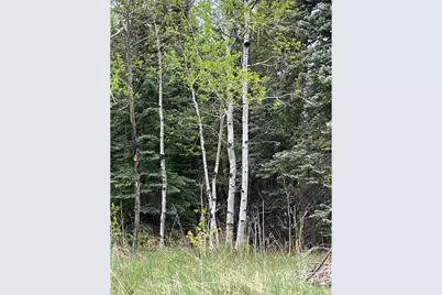 1064 Cold Springs Rd, Nederland, CO 80466 - Photo 18