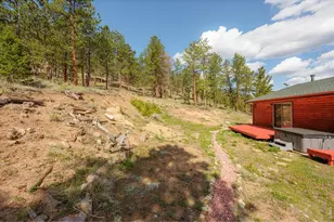 5675 W County Road 68C, Red Feather Lakes, CO 80545 - Photo 40