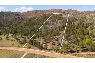 5675 W County Road 68C, Red Feather Lakes, CO 80545 - Photo 42