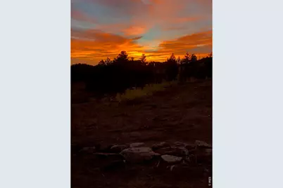 892 Stratton Park Rd, Bellvue, CO 80512 - Photo 26