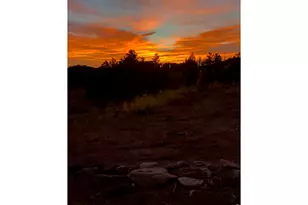892 Stratton Park Rd, Bellvue, CO 80512 - Photo 26