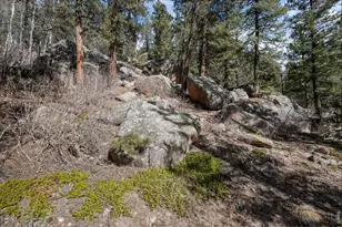 31468 Kings Valley W, Conifer, CO 80433 - Photo 50