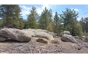 2928 Fox Acres Dr E, Red Feather Lakes, CO 80545 - Photo 1