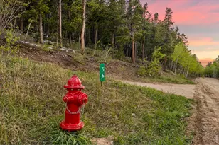 56 Valleyview Dr, Nederland, CO 80466 - Photo 46