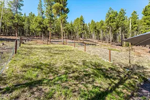 56 Valleyview Dr, Nederland, CO 80466 - Photo 18