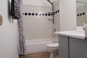 8248 Washington St, Denver, CO 80229 - Photo 14