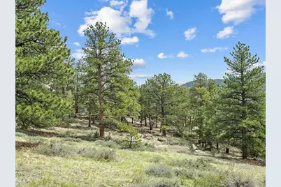 1825 Soul Shine Rd, Drake, CO 80515 - Photo 14