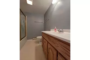 328 N Skinner Rd, Allenspark, CO 80510 - Photo 28