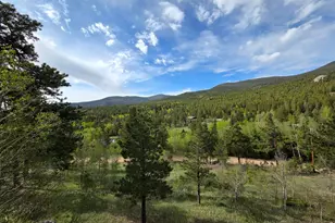 328 N Skinner Rd, Allenspark, CO 80510 - Photo 12