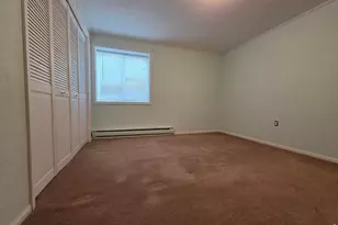 328 N Skinner Rd, Allenspark, CO 80510 - Photo 34