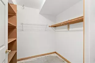 532 Trailwood Cir, Windsor, CO 80550 - Photo 28
