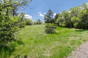 9369 N Palomino Dr, Castle Rock, CO 80108 - Photo 42