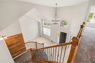312 Habitat Cove, Windsor, CO 80550 - Photo 20