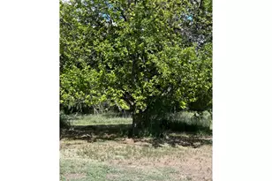 21378 Co Rd 21, Fort Morgan, CO 80701 - Photo 34