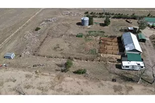 7513 Co Rd 6, Wiggins, CO 80654 - Photo 40