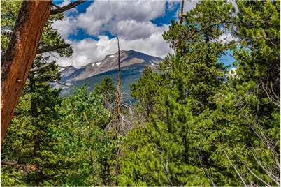 518 Meadow Mountain Dr, Allenspark, CO 80510 - Photo 48