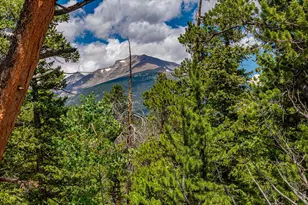 518 Mdw Mountain Dr, Allenspark, CO 80510 - Photo 48