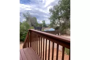 905 Woodbine Dr, Windsor, CO 80550 - Photo 28