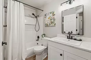245 Plum Ct, Windsor, CO 80550 - Photo 28