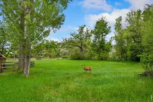 800 Grove Ct, Loveland, CO 80537 - Photo 42