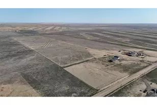 41887 Co Rd 84, Briggsdale, CO 80611 - Photo 44