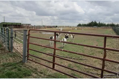 5576 County Road G, Joes, CO 80822 - Photo 12