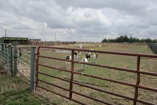 5576 County Rd G, Joes, CO 80822 - Photo 12