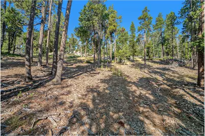 231 Granite Dr, Drake, CO 80515 - Photo 8