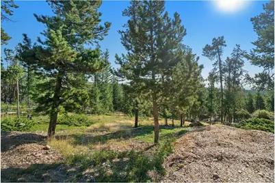 231 Granite Dr, Drake, CO 80515 - Photo 4