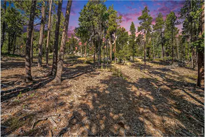 231 Granite Dr, Drake, CO 80515 - Photo 1