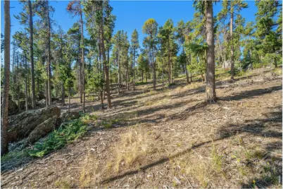 231 Granite Dr, Drake, CO 80515 - Photo 12
