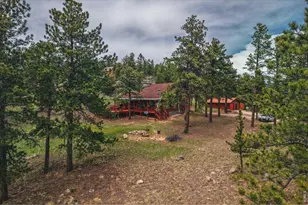 10 Manhead Mountain Dr, Livermore, CO 80536 - Photo 30