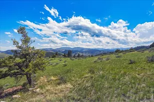 285 Guardian Peak Dr, Livermore, CO 80536 - Photo 34