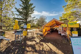 12155 N County Road 15, Wellington, CO 80549 - Photo 22