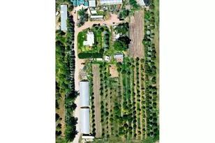 12155 N County Road 15, Wellington, CO 80549 - Photo 6